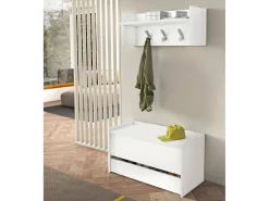 Baú Lantana, Móvel de entrada moderno com sapateira, Baú com dois recipientes, 100% Fabricado na Itália, 90x40h46 cm, Branco