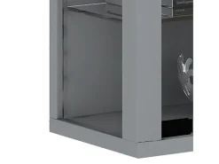 Caixa de exposição de vidro VCM pendurada | Vitrine de vidro com vidro de segurança ESG | Dimensões: A. 91 x L. 59 x P. 18 cm | Vitrosa Mini (prata)