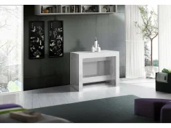 Consola extensível Dguigo, Consola extensível até 12 lugares, Mesa com suportes de extensão, 100% Fabricado em Itália, 51/300x90h77 cm, Branco brilhante