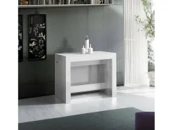 Consola extensível Dguigo, Consola extensível até 12 lugares, Mesa com suportes de extensão, 100% Fabricado em Itália, 51/300x90h77 cm, Lariço branco brilhante