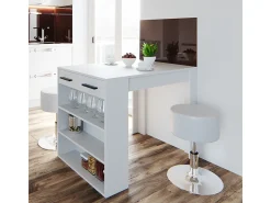 Esstisch-Set branco 67x100x77.5 repose