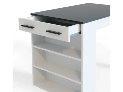 Esszimmertisch antracite/branco 67x100x77.5 repose