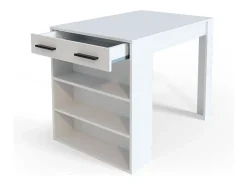 Esszimmertisch branco 67x100x77.5 repose