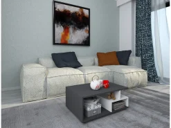 haaus Mesa de centro Tapa, Antracite/Branco, 80 x 50 x 40 cm