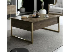 Mesa de café Dgiagnon, Mesa de café, Porta-revistas pEr sofá, prateleira de sala de estar, 90x60h40 cm, nogueira e ouro