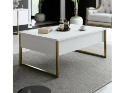 Mesa de café Dgiagnon, Mesa baixa para café, Porta-revistas para sofá, Prateleira para sala de estar, 90x60h40 cm, Branco e Dourado
