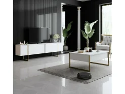Mesa de café Dgiagnon, Mesa baixa para café, Porta-revistas para sofá, Prateleira para sala de estar, 90x60h40 cm, Branco e Dourado