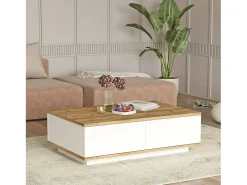 Mesa de caféAlotto Dnastasi, Mesa de café, Porta-revistas para sofá, Prateleira para sala de estar, 90x60h29 cm, Carvalho e Branco