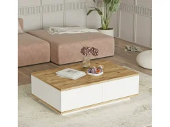 Mesa de caféAlotto Dnastasi, Mesa de café, Porta-revistas para sofá, Prateleira para sala de estar, 90x60h29 cm, Carvalho e Branco