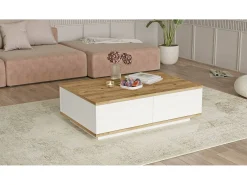 Mesa de caféAlotto Dnastasi, Mesa de café, Porta-revistas para sofá, Prateleira para sala de estar, 90x60h29 cm, Carvalho e Branco