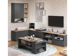 Mesa de centro antracite/sonoma 100x55x42 wido
