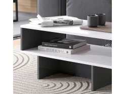 Mesa de centro branco/antracite 80x46.2x35.4 josef