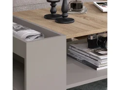 Mesa de centro cinzento-bege 100x55x42 wido