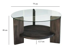 Mesa de centro DCaporal, Mesa de café, Porta-revistas para sofá, Prateleira para sala, 75x75h40 cm, Antracite