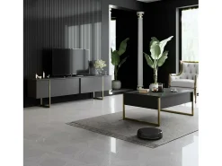 Mesa de centro Dgiagnon, Mesa de café, Porta-revistas para sofá, Prateleira de sala, 90x60h40 cm, Antracite e Ouro