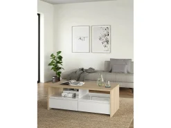 Mesa de centro Dvandell, Mesa de centro baixa, Porta-revistas para sofá, Estante de sala, 120x60 h46 cm, Carvalho e Branco
