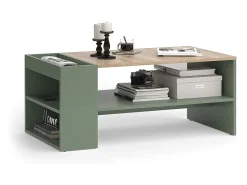 Mesa de centro verde 100x55x42 wido