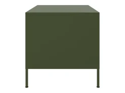 Mesa de centro 68x50x50,5 cm aço verde azeitona