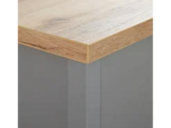 Mesa de Centro 110x40,5x60 cm cinza