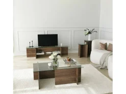 Mesa de estar Dfontola, Mesa baixa para café, Porta-revistas para sofá, Prateleira para sala de estar, 105x65h40 cm, Noz