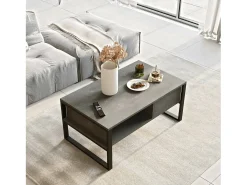 Mesa de estar Dfranzos, Mesa de café, Suporte de revistas para sofá, Prateleira para sala de estar, 100x60h44 cm, Prata