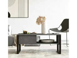Mesa de estar Dfranzos, Mesa de café, Suporte de revistas para sofá, Prateleira para sala de estar, 100x60h44 cm, Prata