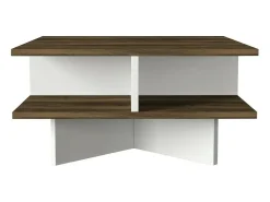 Mesa de estar Dpalmier, Mesa baixa para café, Porta-revistas para sofá, Prateleira para sala de estar, 60x60h31 cm, Noz e Branco