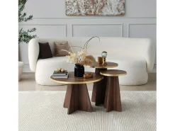 Mesa de sala de estar Dkluiver, Mesa de café, Porta-revista para sofá, Prateleira para sala de estar, 60x60h40 cm, Ouro e Noz