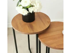 Mesa de sala de estar Dluperin, Mesa de café, Suporte de revistas para sofá, Prateleira para sala de estar, 70x35h55 cm, Carvalho