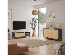 Móvel de TV Kalma 2 portas 1 gaveta cor preto/carvalho