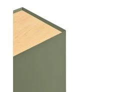 Móvel TV 2 gavetas com porta basculante verde 180x40 cm