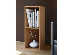 Prateleira VCM Wood CD DVD | Armazenamento | Dimensões A. 72 x L. 34 x P. 30 cm | Prateleira de Decoração | Estante Mendas 2 compartimentos (Beech)