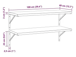 Prateleiras de parede 2 pcs 100x40 cm aço inoxidável prateado