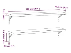 Prateleiras de parede 2pcs 100x23,5 cm aço inoxidável prateado