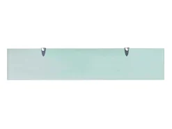 Prateleiras flutuantes 2 pcs vidro 100x20 cm 8 mm PT548226
