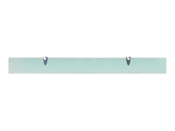 Prateleiras flutuantes 2 pcs vidro 100x10 cm 8 mm PT262104