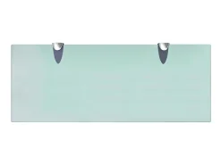 Prateleiras flutuantes 2 pcs vidro 50x20 cm 8 mm PT836797