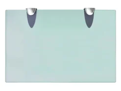 Prateleiras flutuantes 2 pcs vidro 30x20 cm 8 mm PT136107
