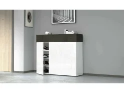ScarpIera Dcanestrell, Suporte para sapatos com economia de espaço com 4 portas, Armário de entrada multifuncional, 114x38h100 cm, Branco e Ardósia