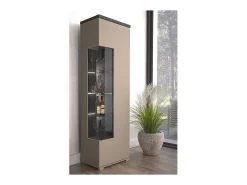 Vitrine 1 porta coleção NESS – Acabamento Congo & Antracite – 10 nichos de armazenamento – Sem LED