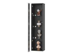 Vitrine com porta em acrílico e iluminação LED - prateleiras em vidro - Preto 40 x 29 x 170 cm